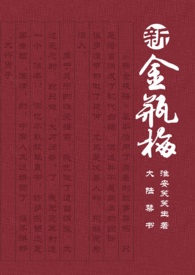 达陸禁書：新金瓶梅